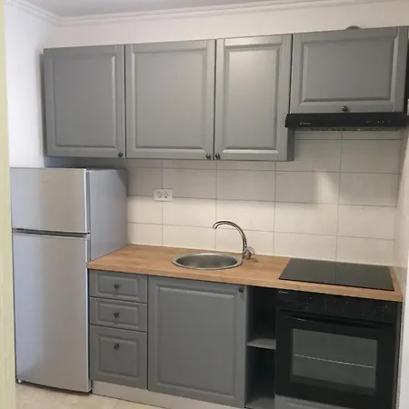 Apartment Spacious In A Quiet Neighborhood Split